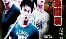 少年激斗篇在线观看,热血青春，激战正酣