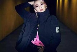 金赛纶最新爆料视频,幕后真相大公开